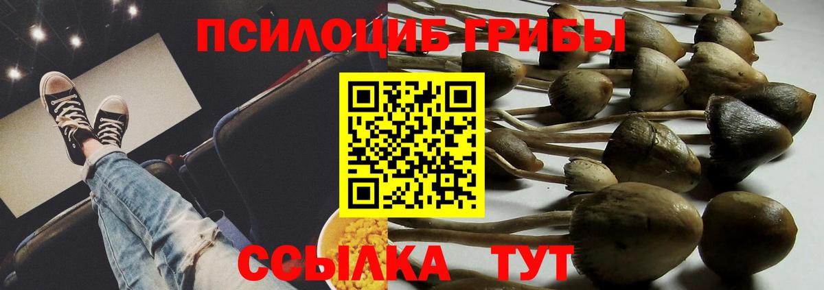 Галлюциногенные грибы Cubensis Феодосия
